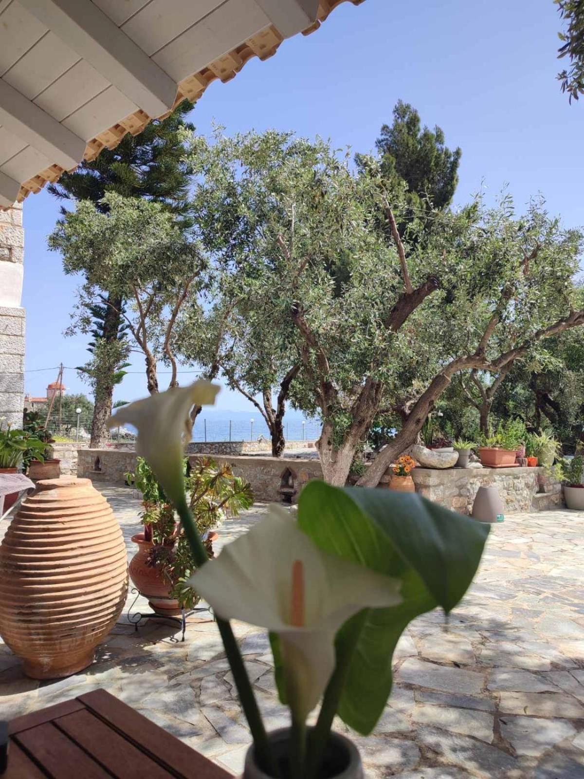 Ktima Zaxarias Otel Kokkala Dış mekan fotoğraf